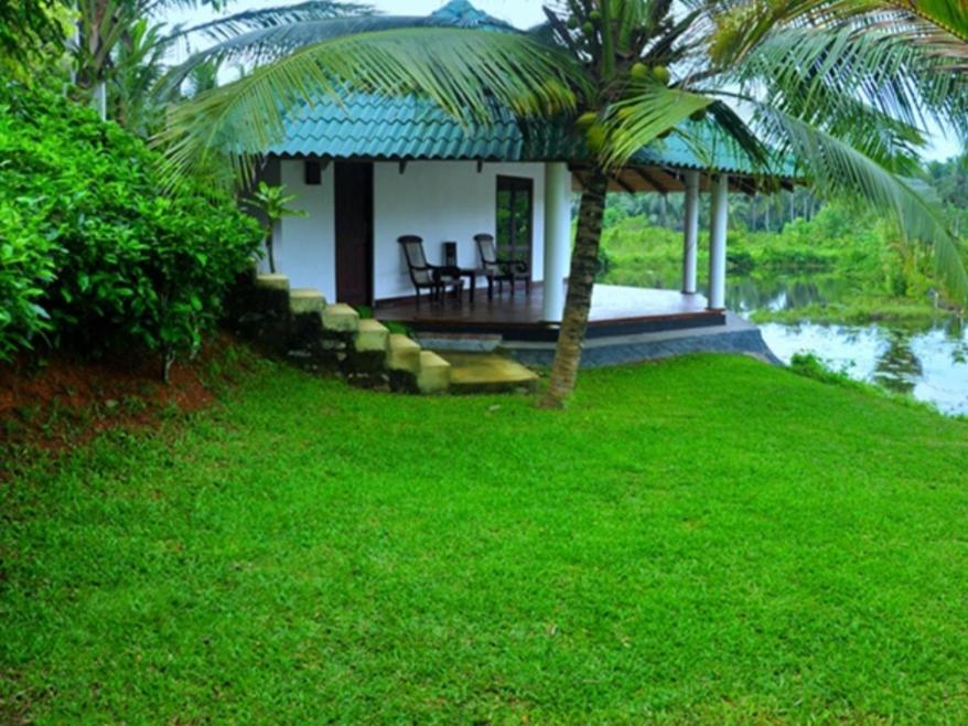 Jungle Heart Cabanas Danwattegoda Kültér fotó
