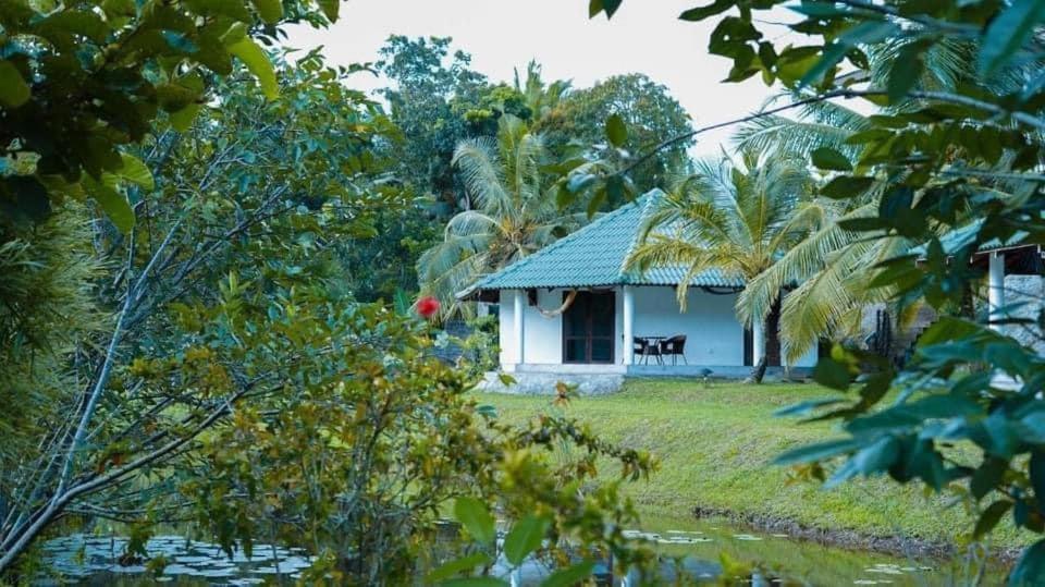 Jungle Heart Cabanas Danwattegoda Kültér fotó