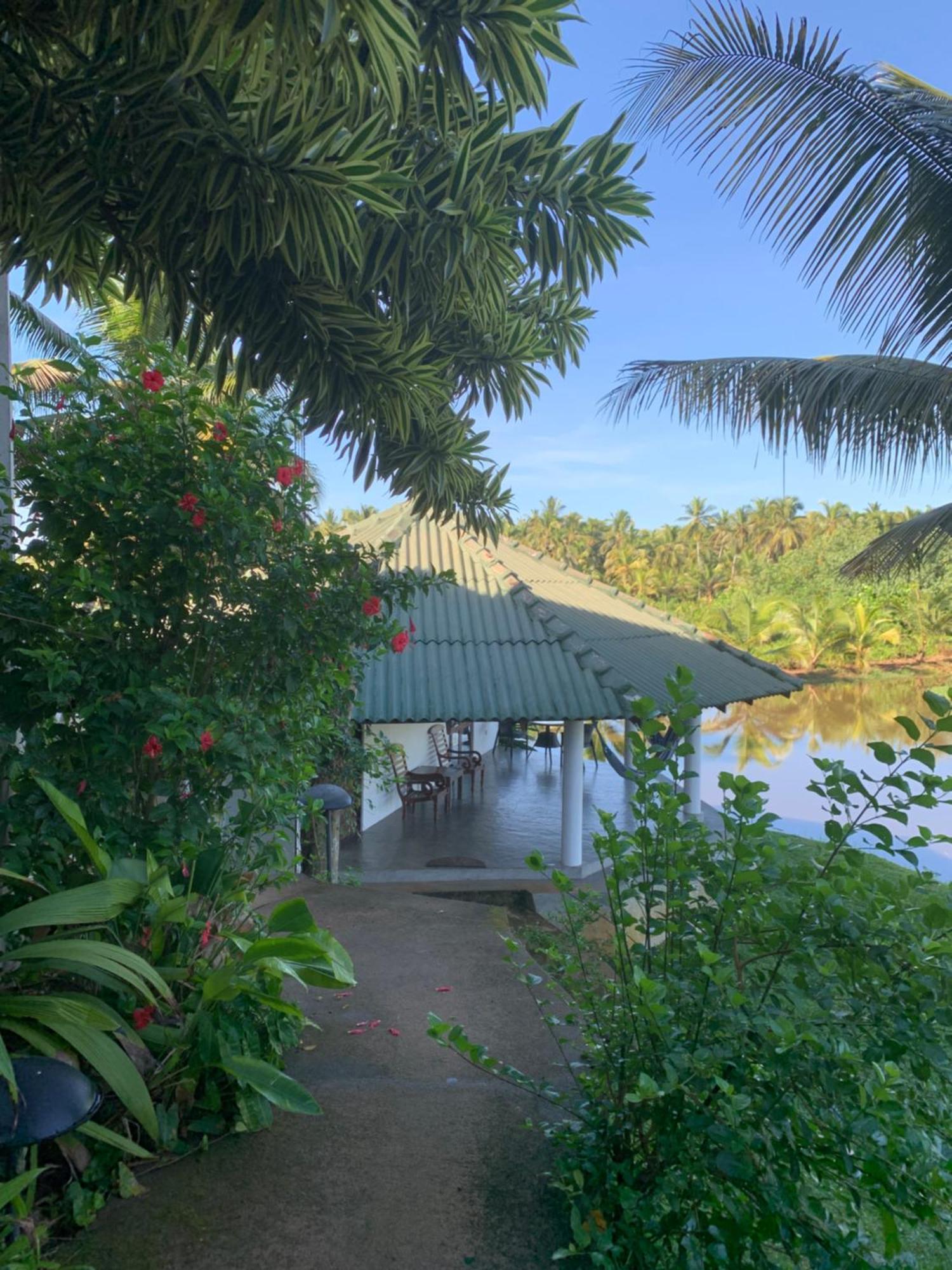 Jungle Heart Cabanas Danwattegoda Kültér fotó