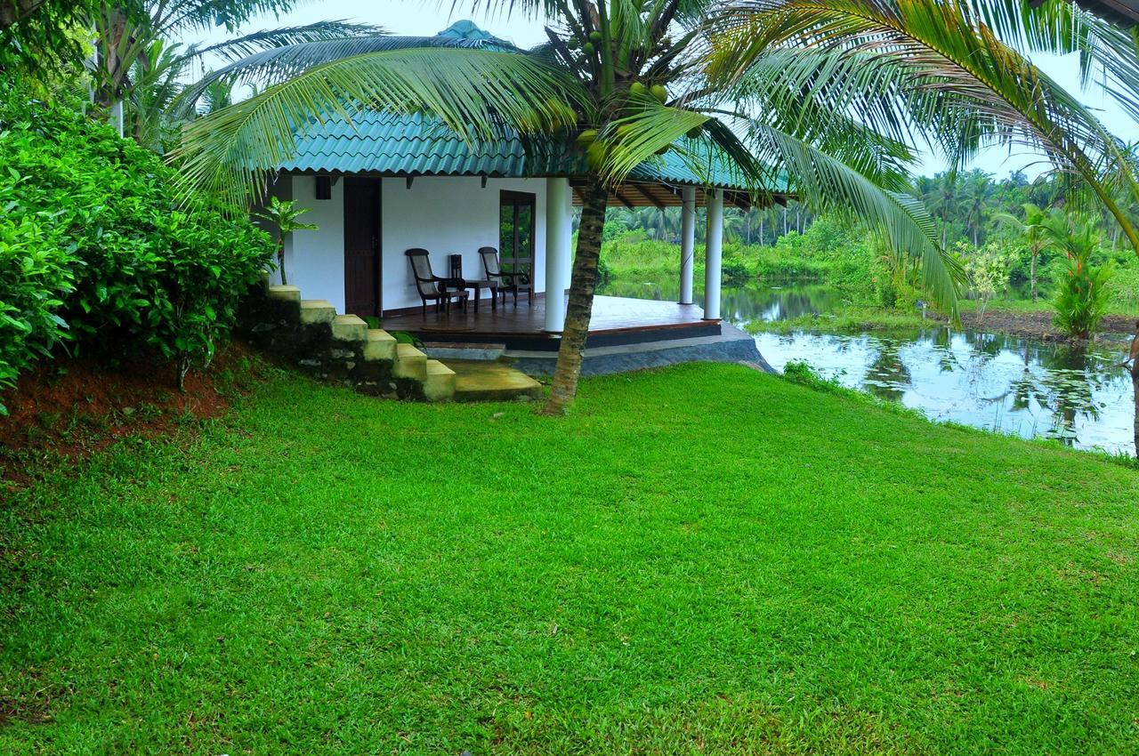 Jungle Heart Cabanas Danwattegoda Kültér fotó
