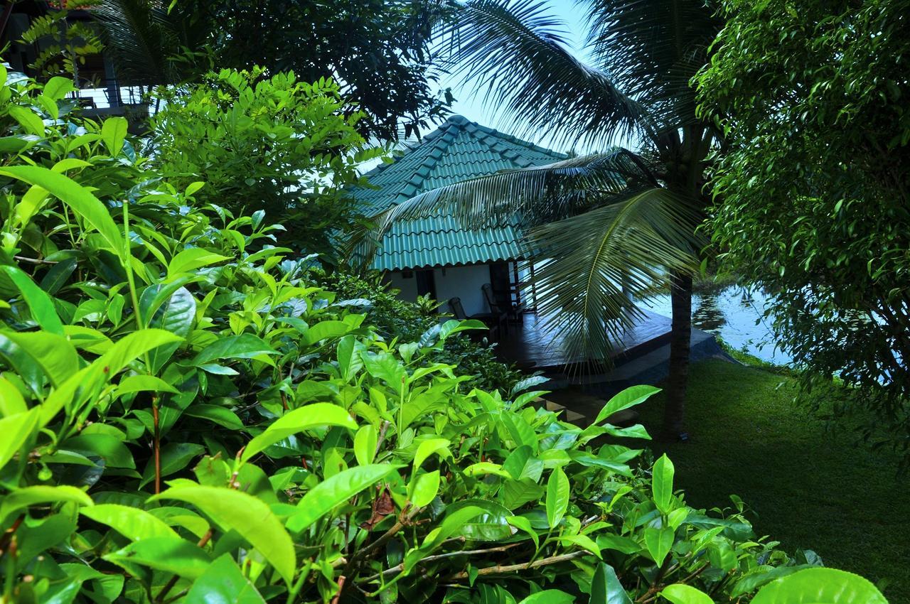 Jungle Heart Cabanas Danwattegoda Kültér fotó
