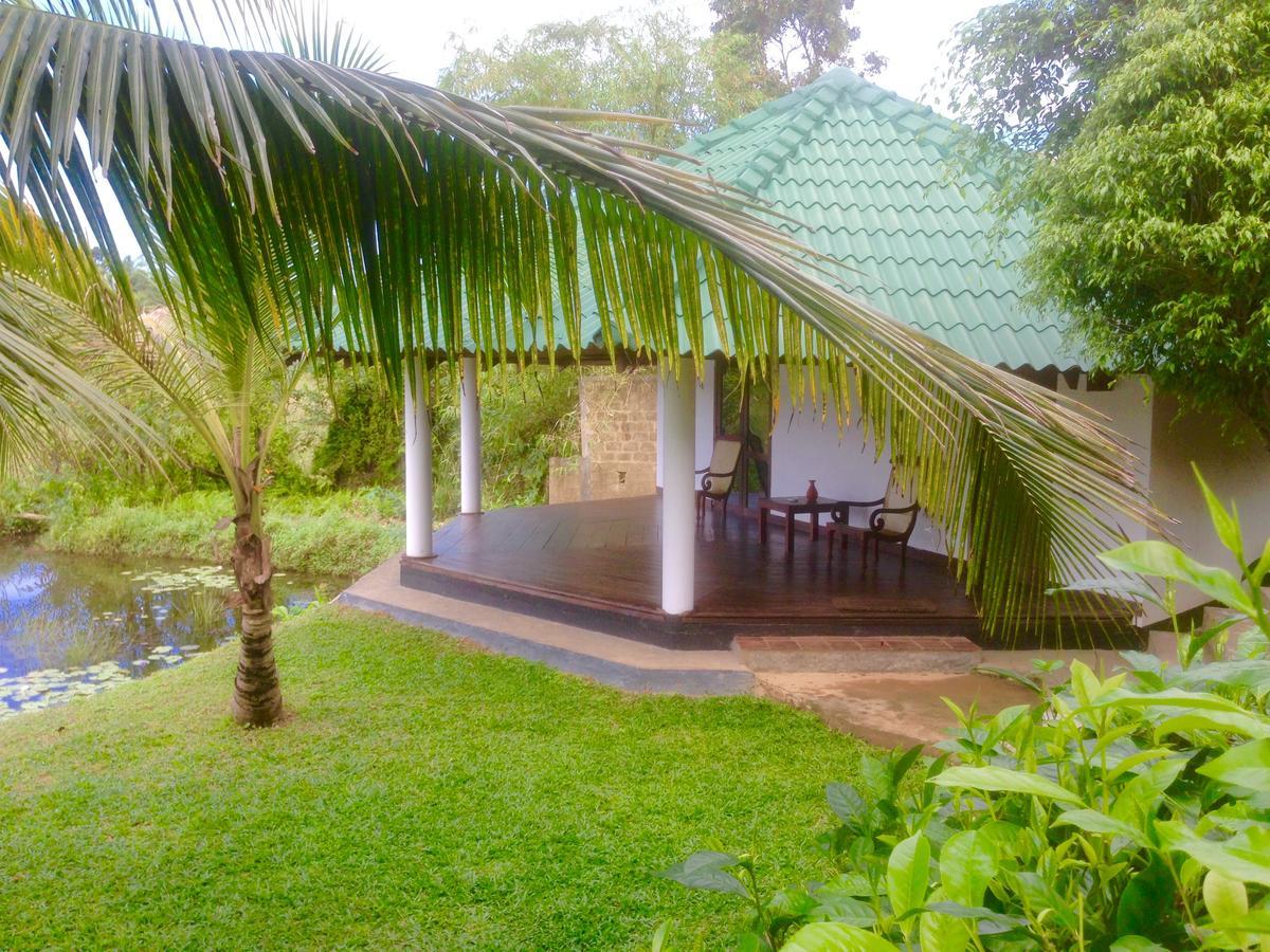 Jungle Heart Cabanas Danwattegoda Kültér fotó