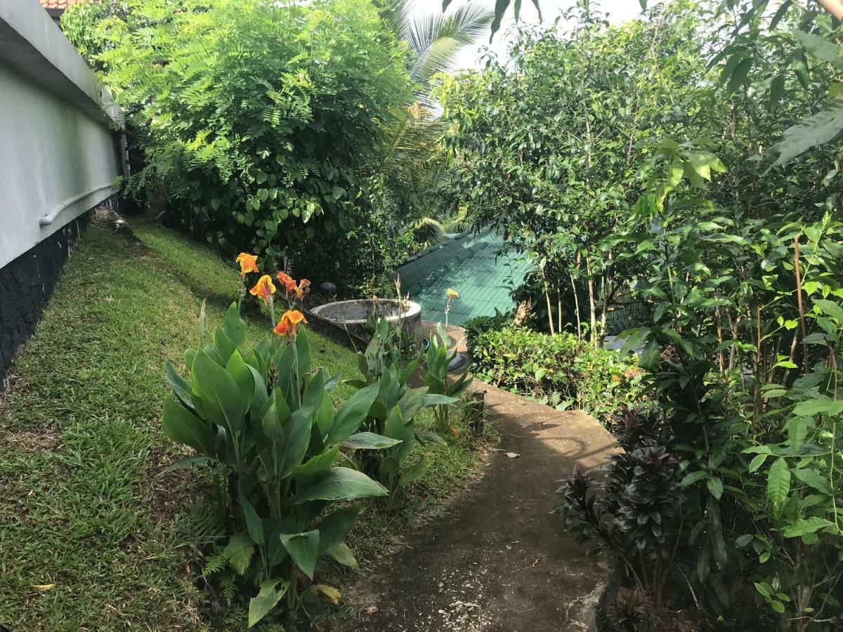 Jungle Heart Cabanas Danwattegoda Kültér fotó