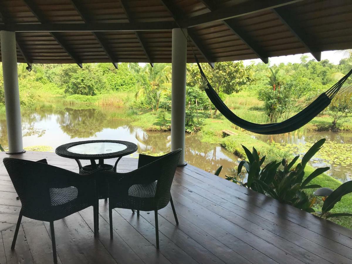 Jungle Heart Cabanas Danwattegoda Kültér fotó